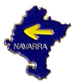 Pin mapa de Navarra